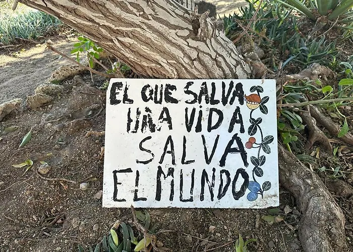 Oceanicjaca Lägenhet