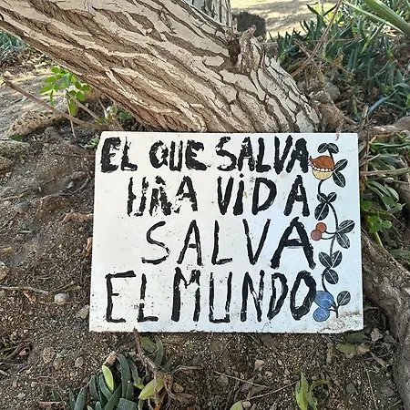 Oceanicjaca Apartmán